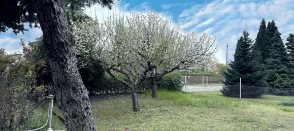 3 chambres Maison à Wittenberg, Germany No. 309510 4