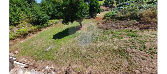 1 Schlafzimmer Haus in Vila Verde, Portugal, Nr. 30731 4