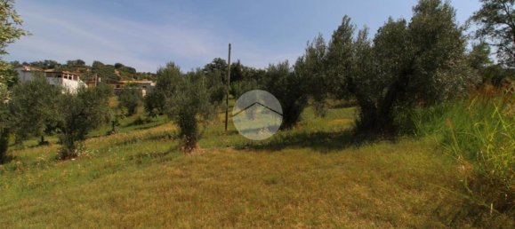 21000m² Land in Luzzi, Italy No. 310036 4