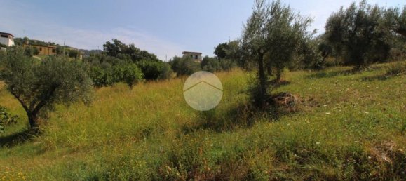 21000m² Land in Luzzi, Italy No. 310036 3