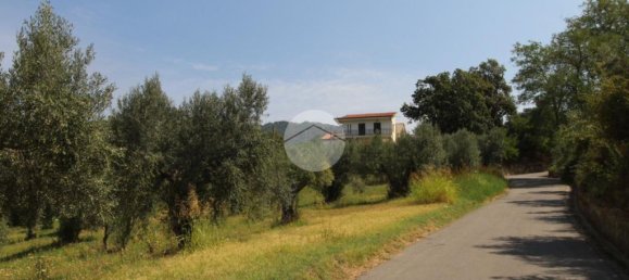21000m² Land in Luzzi, Italy No. 310036 11