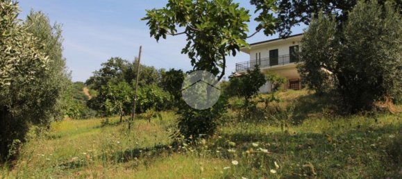 21000m² Land in Luzzi, Italy No. 310036 12