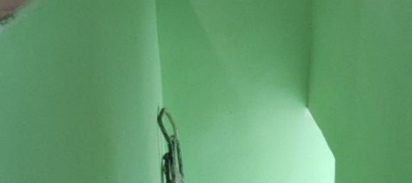 7 rooms House in Castelnuovo Bormida, Italy No. 276143 14