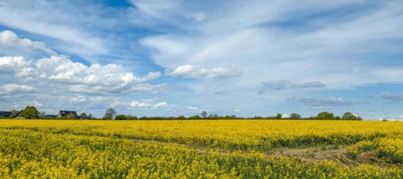 2 rooms Apartment in Duchy of Lauenburg, Germany No. 317185 5