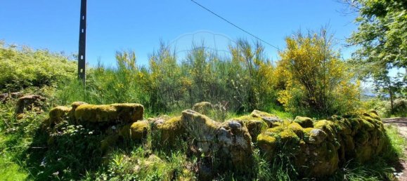 1 bedroom House in Melgaco, Portugal No. 19172 12