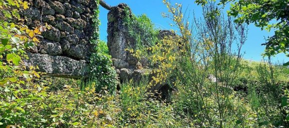 1 bedroom House in Melgaco, Portugal No. 19172 7