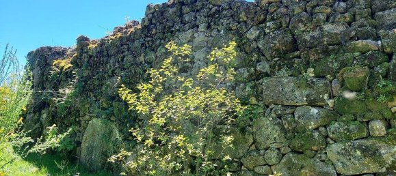 1 bedroom House in Melgaco, Portugal No. 19172 9