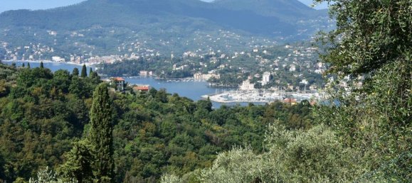 8 rooms Villa in Zoagli, Italy No. 36214 7