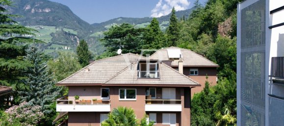 4-Zimmer Doppelhaus in Trentino-Alto Adige, Italy, Nr. 44583 4