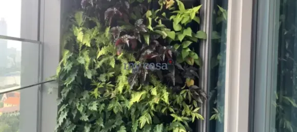 3 bedrooms Apartment in Thu Duc, Vietnam No. 8334 3