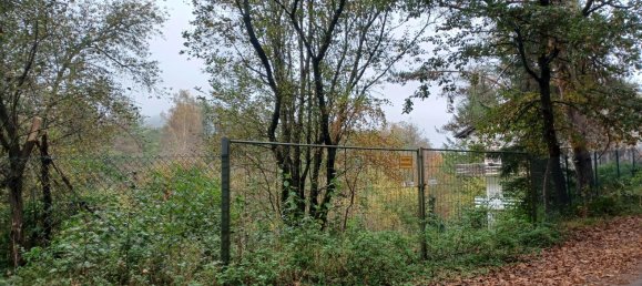 Земельный участок в Юго-западный Пфальц, Германия № 119168 2