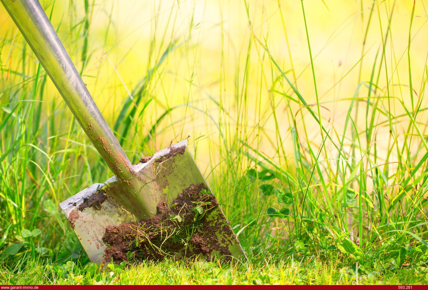 Земельный участок в Юго-западный Пфальц, Германия № 119168