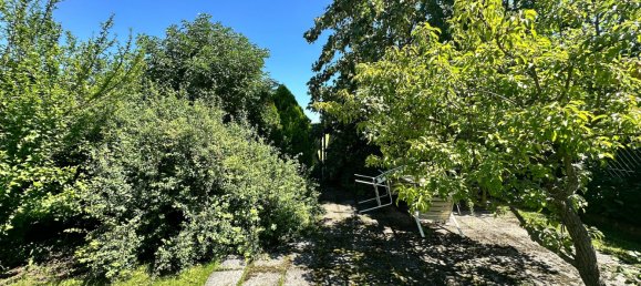 2 rooms House in Grosskrut, Austria No. 210352 19