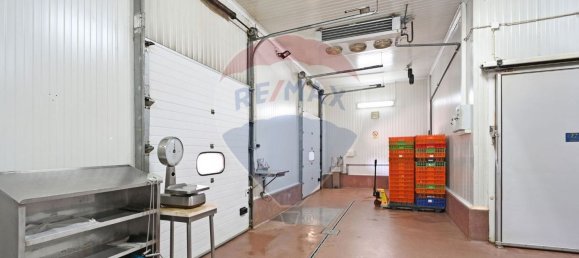 Entrepôt à Ermesinde, Portugal 385m² No. 38781 5