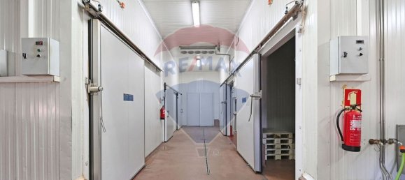 Entrepôt à Ermesinde, Portugal 385m² No. 38781 7