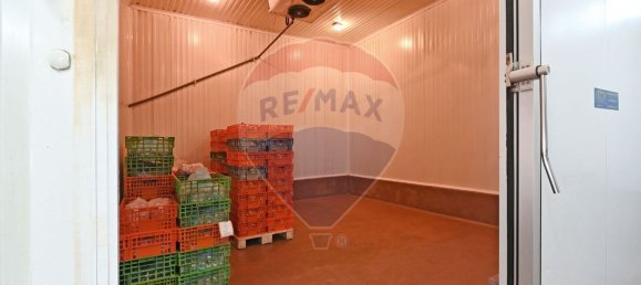 Entrepôt à Ermesinde, Portugal 385m² No. 38781 9