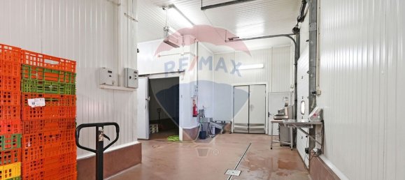 Entrepôt à Ermesinde, Portugal 385m² No. 38781 8