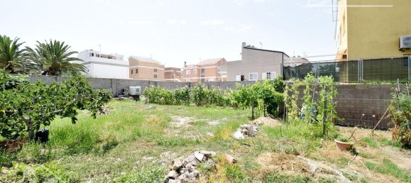  Land in Moncofa, Spain No. 116409 34