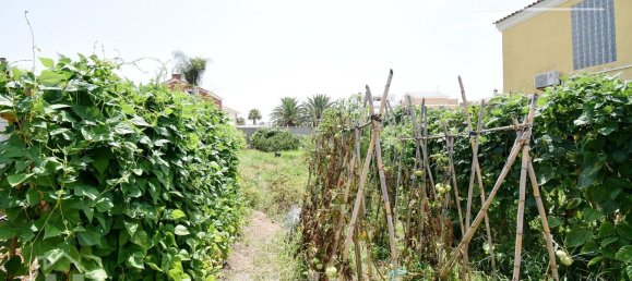  Land in Moncofa, Spain No. 116409 17