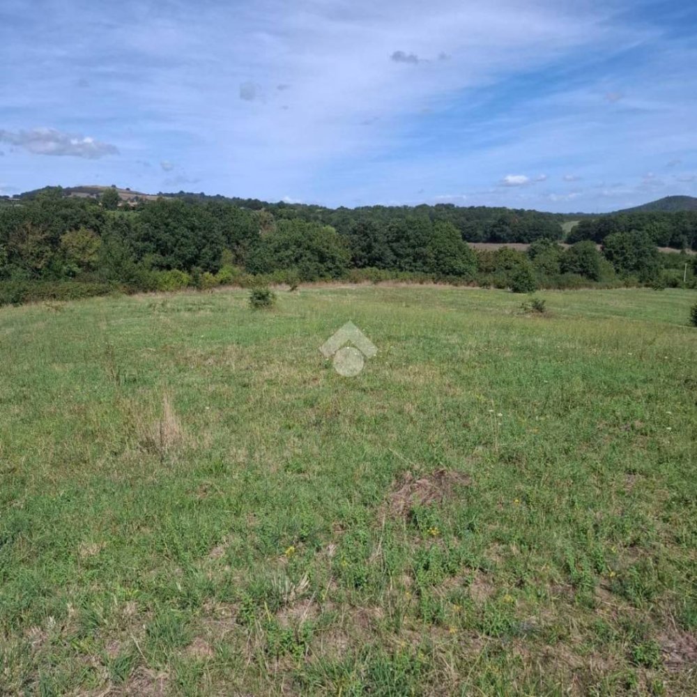 Terreno en Trevignano Romano, Italy 17000 m² No. 350408