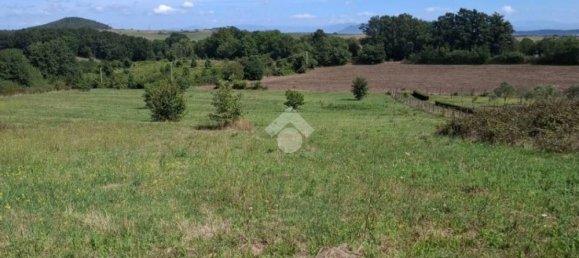 Terreno en Trevignano Romano, Italy 17000 m² No. 350408 6