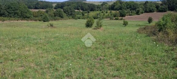 Terreno en Trevignano Romano, Italy 17000 m² No. 350408 4