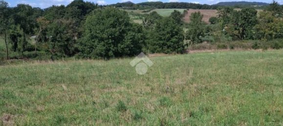 Terreno en Trevignano Romano, Italy 17000 m² No. 350408 7