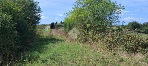 Terreno en Trevignano Romano, Italy 17000 m² No. 350408 5