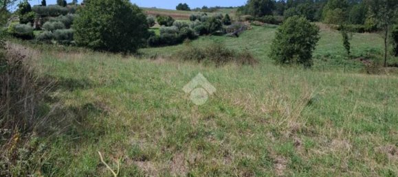 Terreno en Trevignano Romano, Italy 17000 m² No. 350408 10