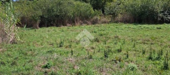 Terreno en Trevignano Romano, Italy 17000 m² No. 350408 9