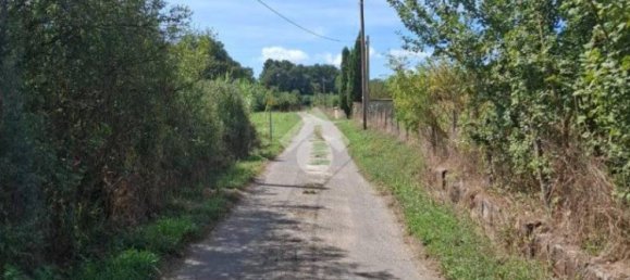 Terreno en Trevignano Romano, Italy 17000 m² No. 350408 8