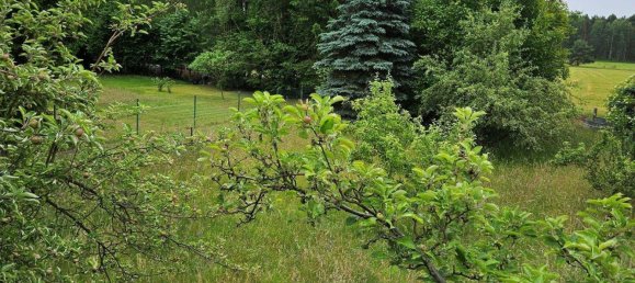  Land in Elbe-Elster, Germany No. 278935 9