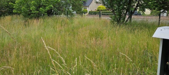  Land in Elbe-Elster, Germany No. 278935 2