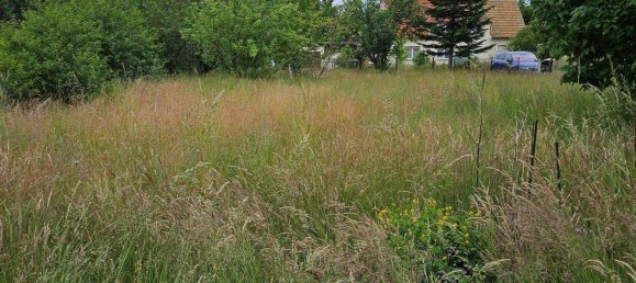  Land in Elbe-Elster, Germany No. 278935 5