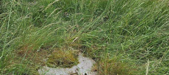  Land in Elbe-Elster, Germany No. 278935 4