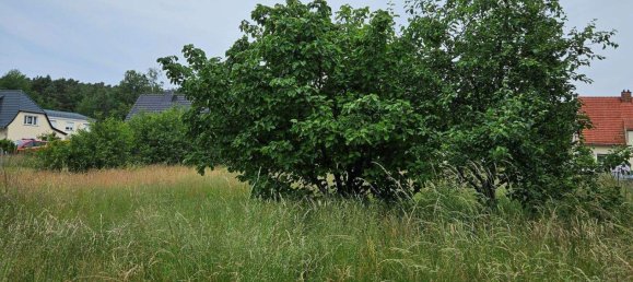  Land in Elbe-Elster, Germany No. 278935 3