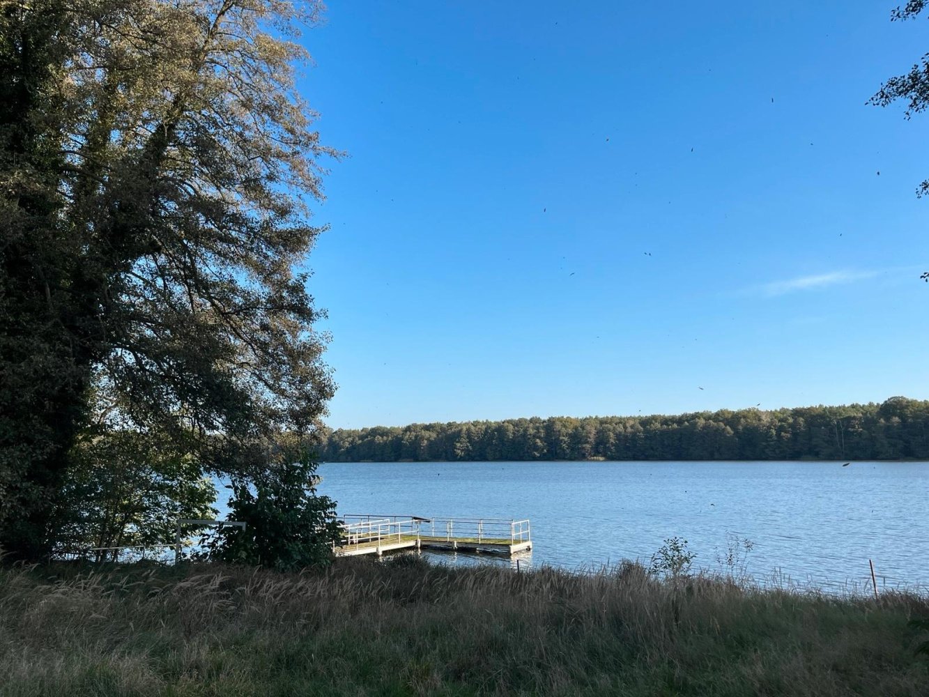 Hotel in Potsdam-Mittelmark, Germany 3000m², Nr. 289932