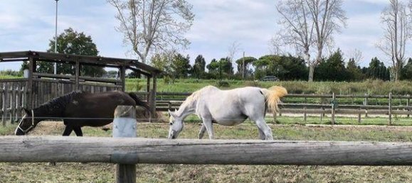 Apartamento de 2 divisões em San Giuliano Terme, Italy N.º 233994 9