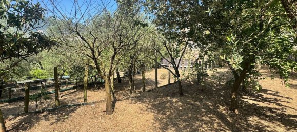 1470m² Land in Piano di Sorrento, Italy No. 353816 5