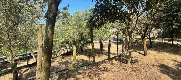 1470m² Land in Piano di Sorrento, Italy No. 353816 6