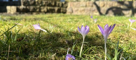 Casa de 3 dormitorios en Bochum, Germany No. 113246 41