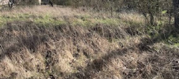 668m² Land in Arracourt, France No. 74279 5