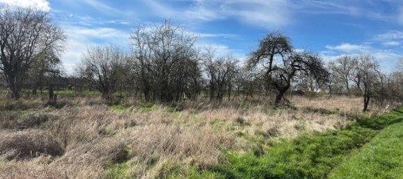 668m² Land in Arracourt, France No. 74279 4