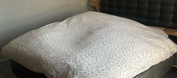 4 غرف نوم منزل في Thionville, France رقم 328839 8