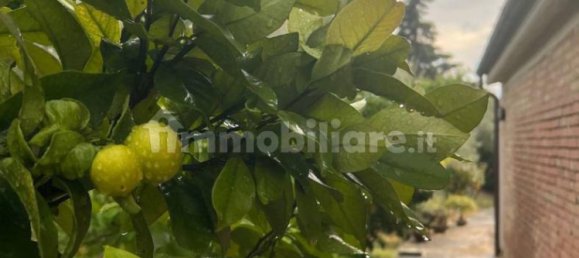 Casa de 4 dormitorios en Loreto Aprutino, Italy No. 81715 31