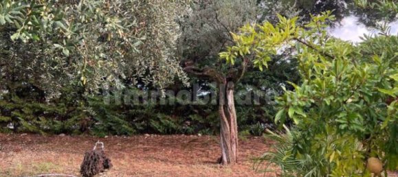 Casa de 4 dormitorios en Loreto Aprutino, Italy No. 81715 30