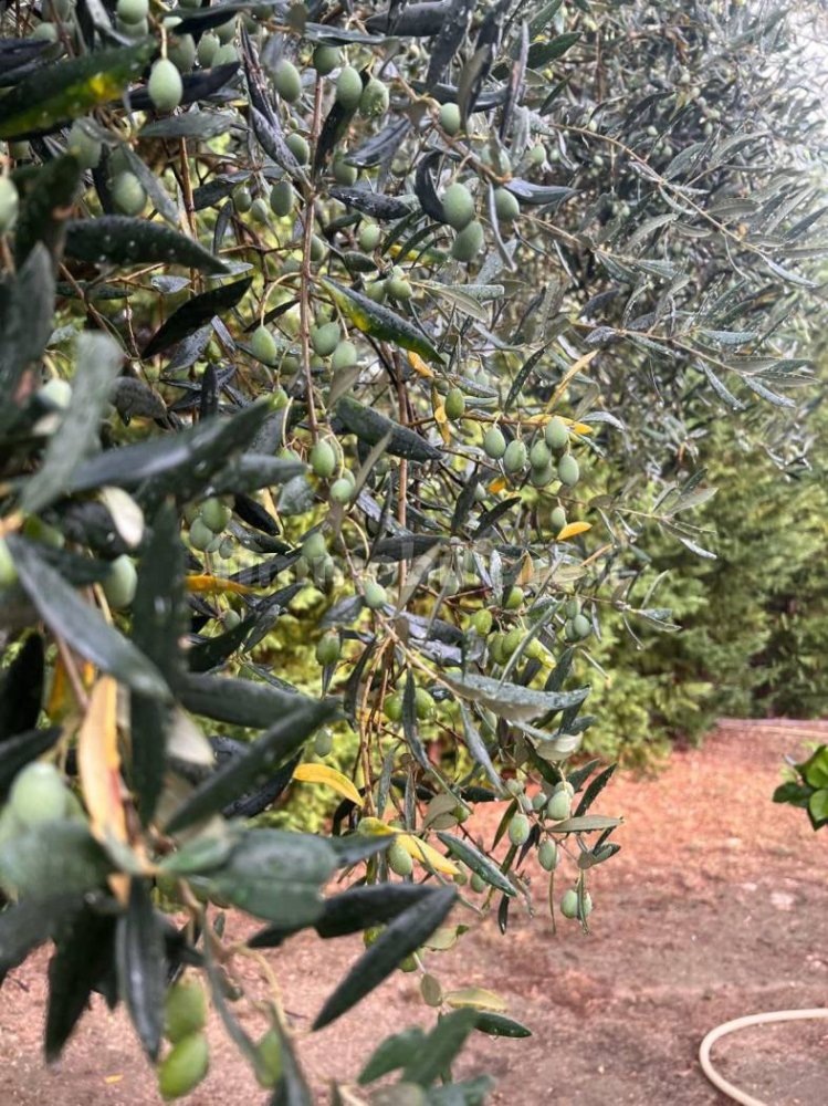 Casa de 4 dormitorios en Loreto Aprutino, Italy No. 81715