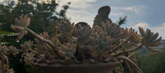 Casa de 4 dormitorios en Loreto Aprutino, Italy No. 81715 13