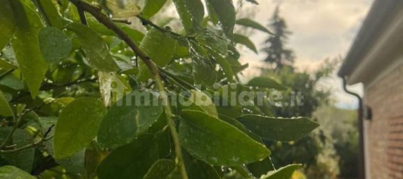 Casa de 4 dormitorios en Loreto Aprutino, Italy No. 81715 5