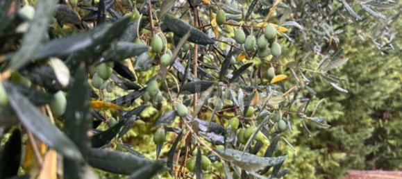 Casa de 4 dormitorios en Loreto Aprutino, Italy No. 81715 33